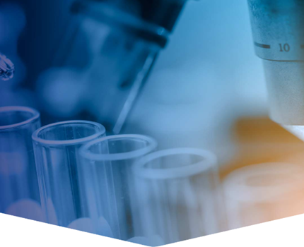 The Indian Pharmaceutical Alliance